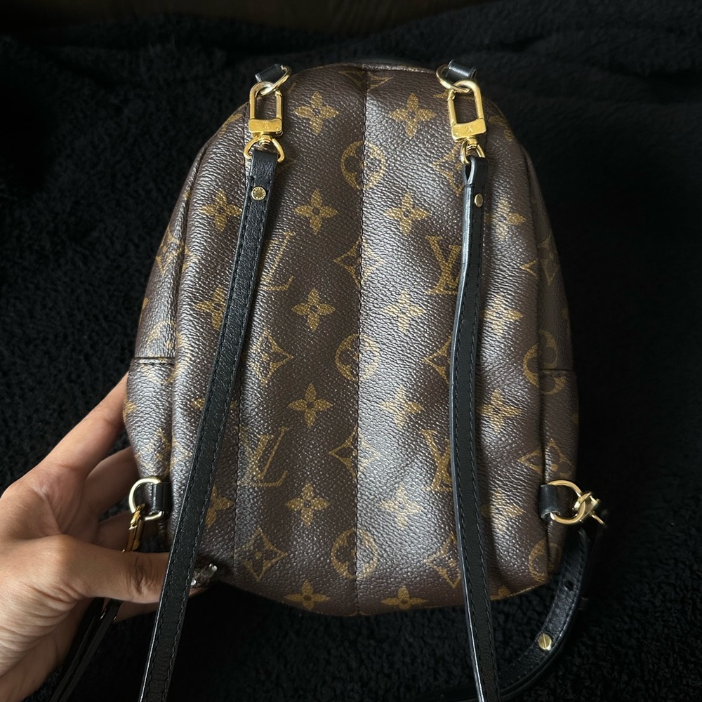 Louis Vuitton Palm Springs Mini Backpack Monogram Brown Leather Crossbody Bag - Picture 7 of 11